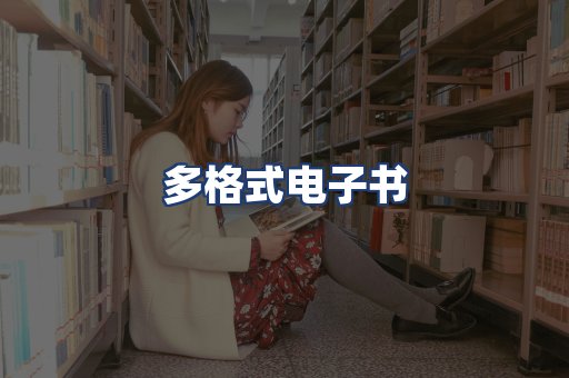 多格式电子书